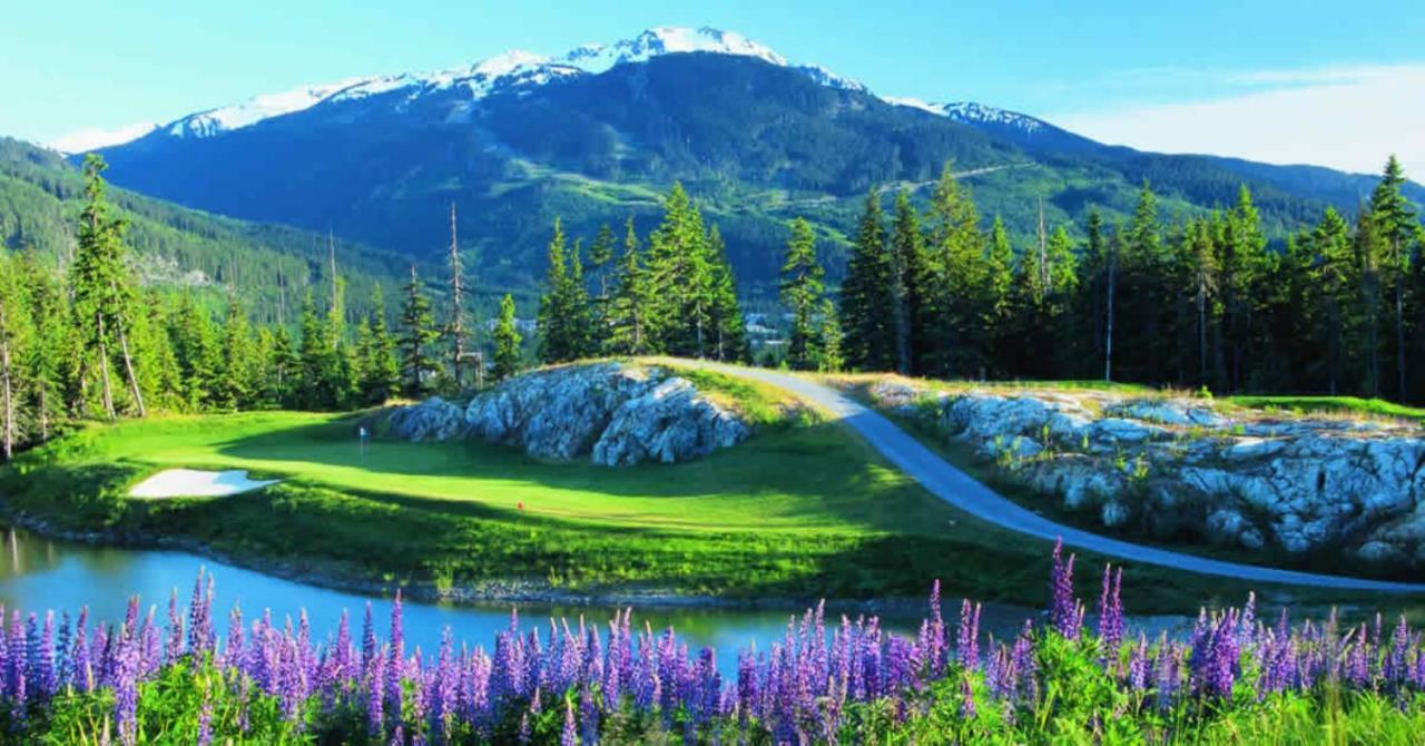 Bright Suite At Ski In/Out Glacier Lodge! Whistler Luaran gambar